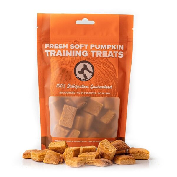 Fresh Soft Pumpkin Training Treats